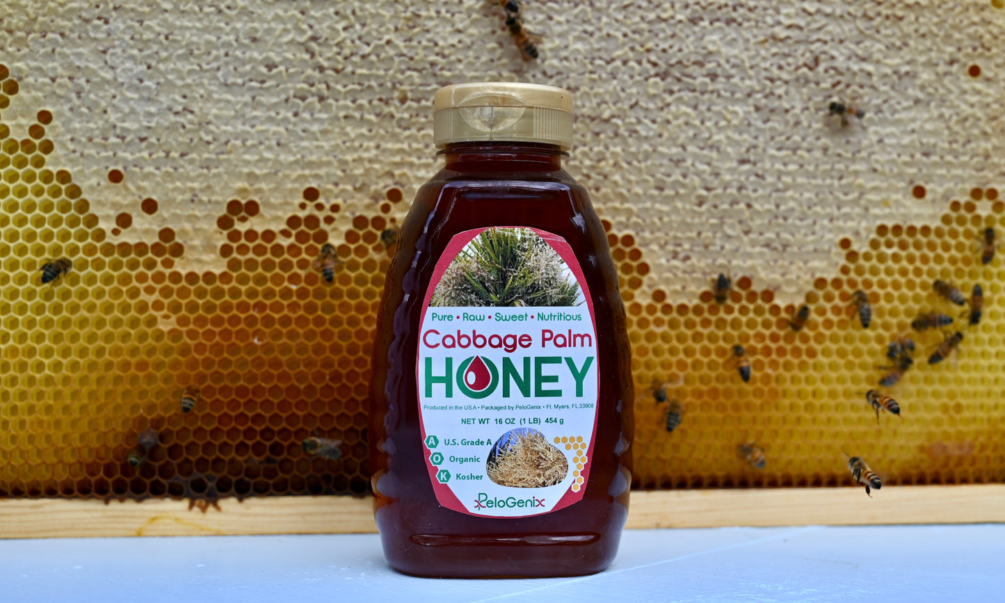 Cabbage Palm Honey