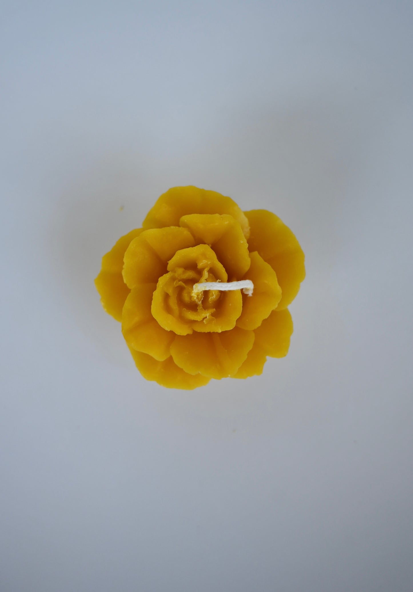 Rose Bloom Beeswax Candle
