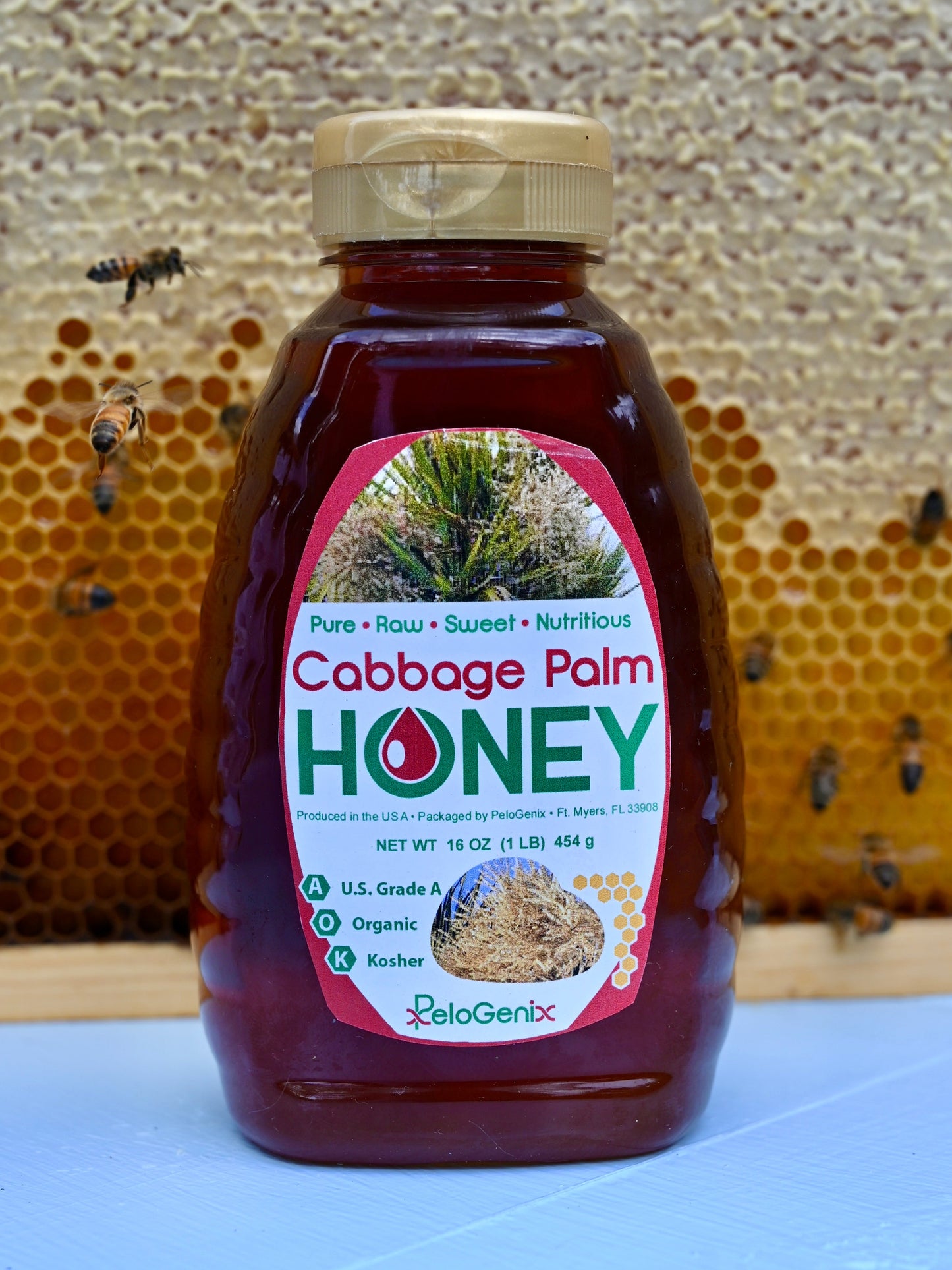 Cabbage Palm Honey