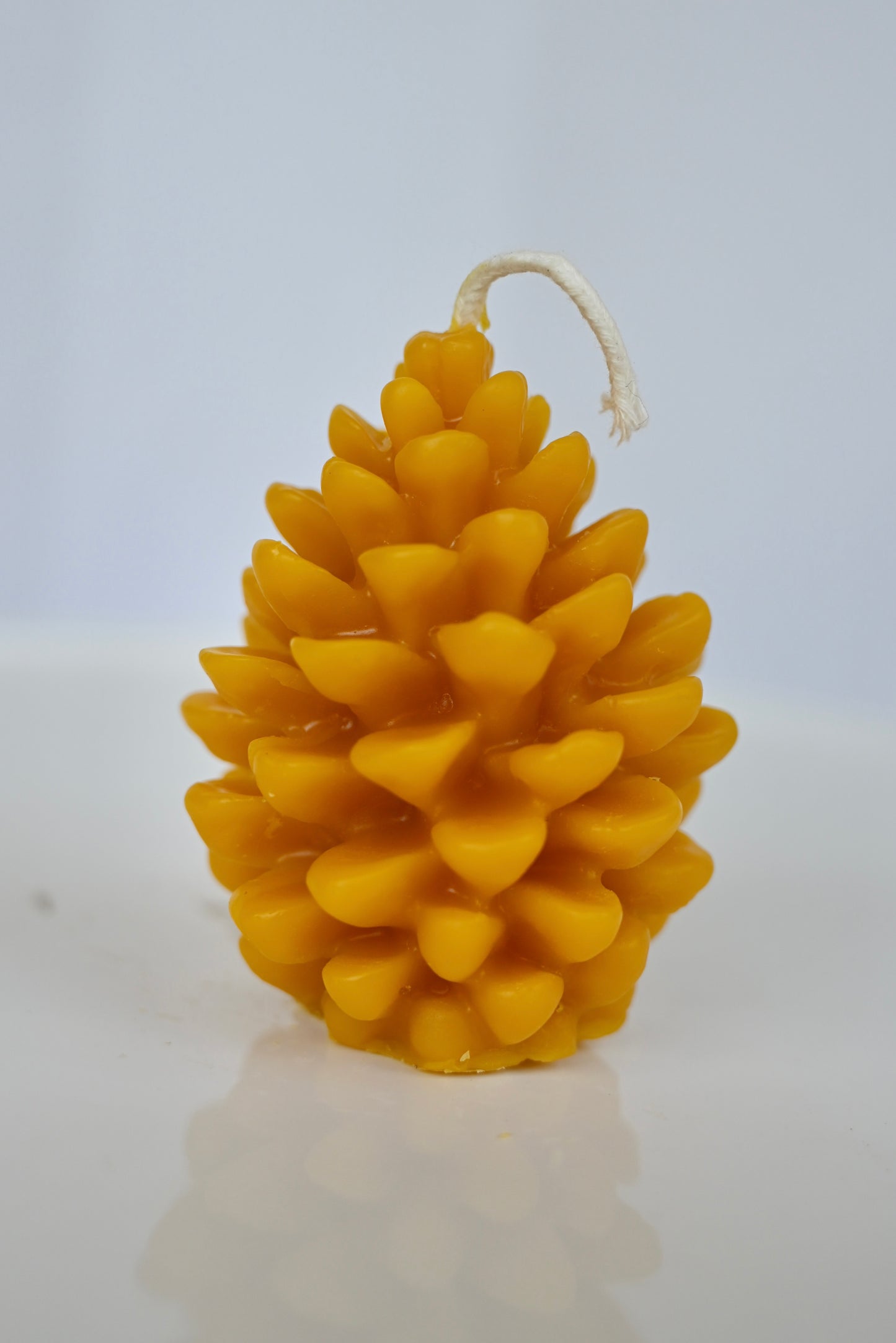 Golden Pinecone Beeswax Candle