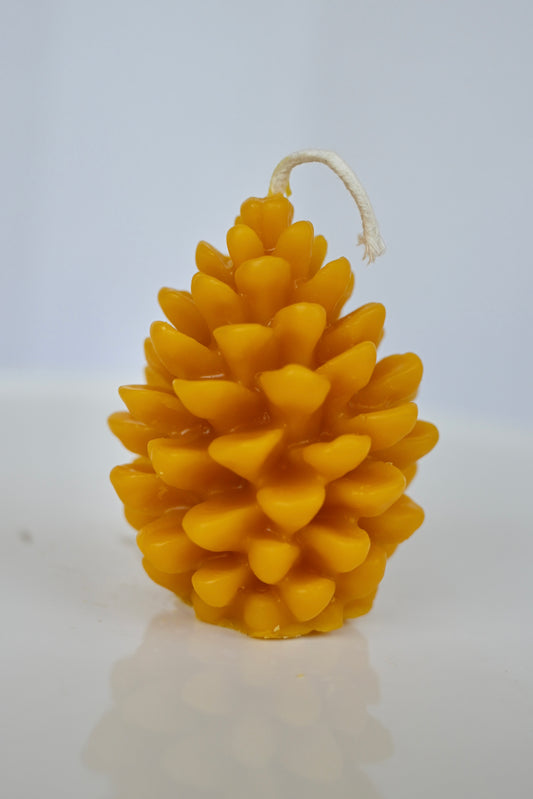 Golden Pinecone Beeswax Candle