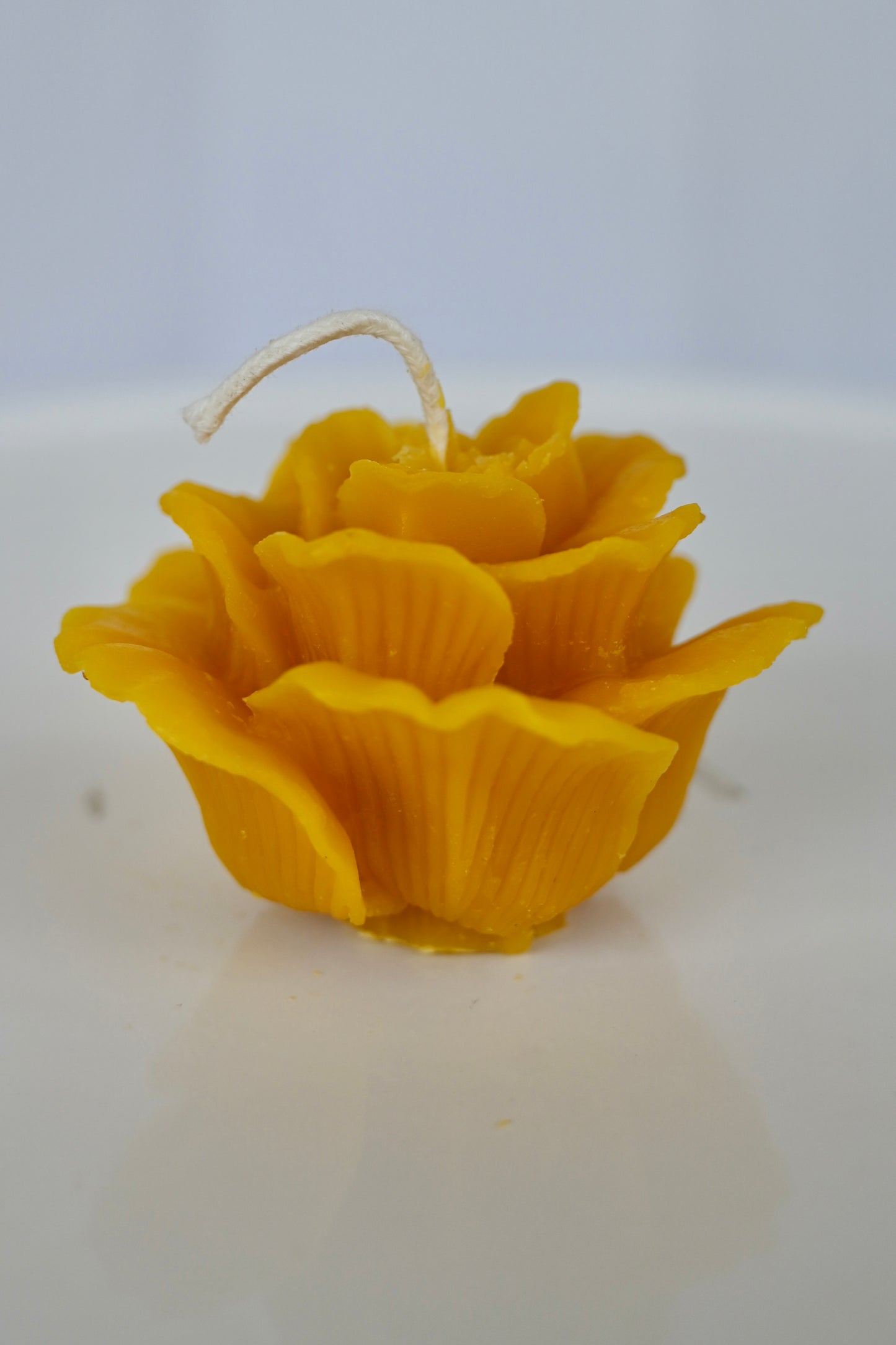 Rose Bloom Beeswax Candle