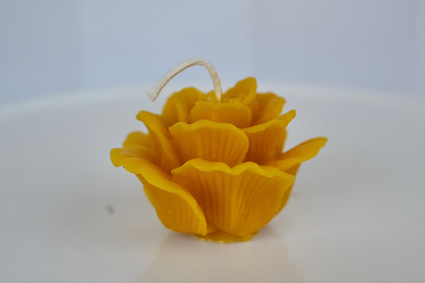 Rose Bloom Beeswax Candle