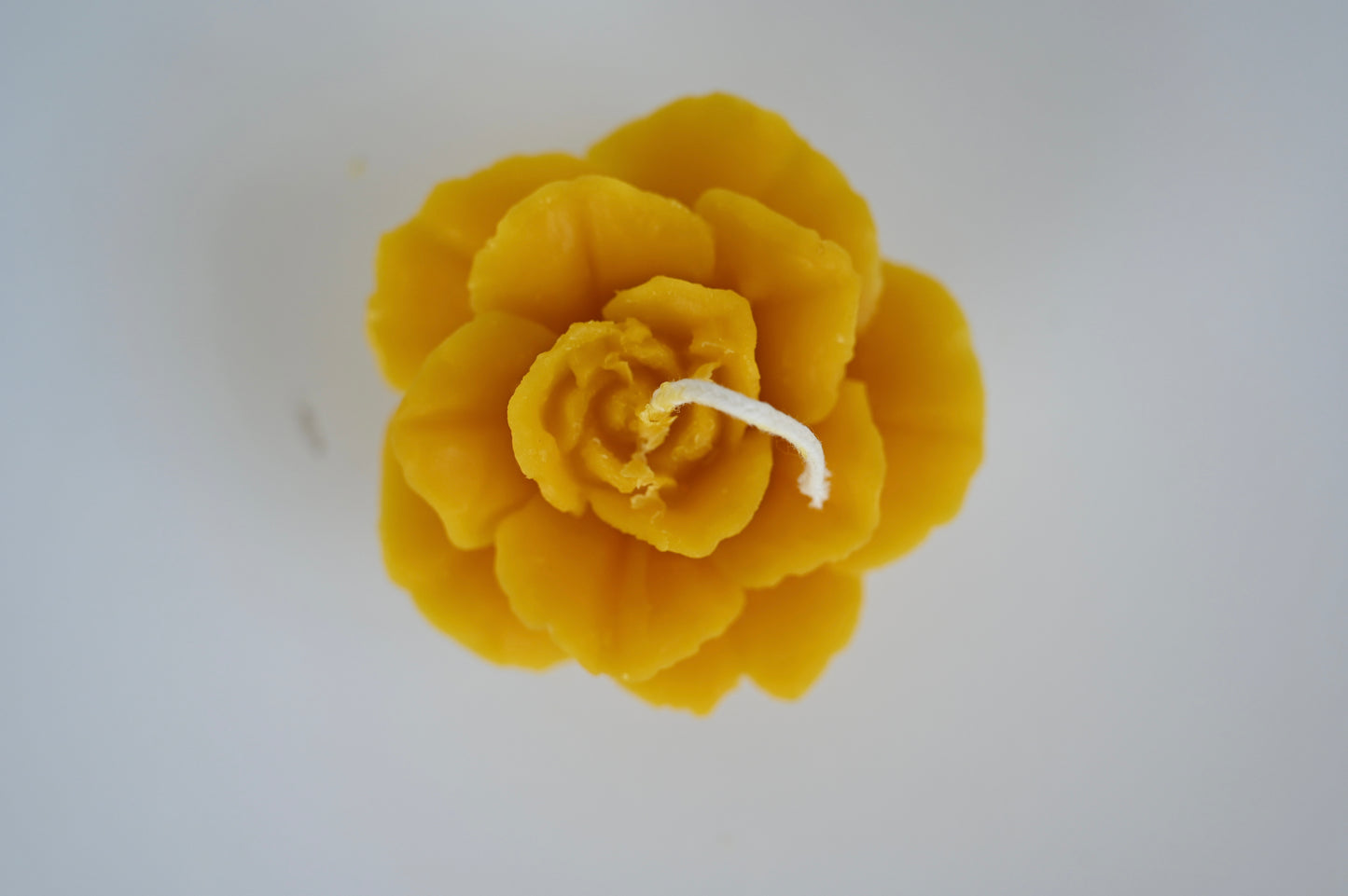 Rose Bloom Beeswax Candle