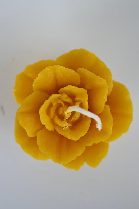 Rose Bloom Beeswax Candle