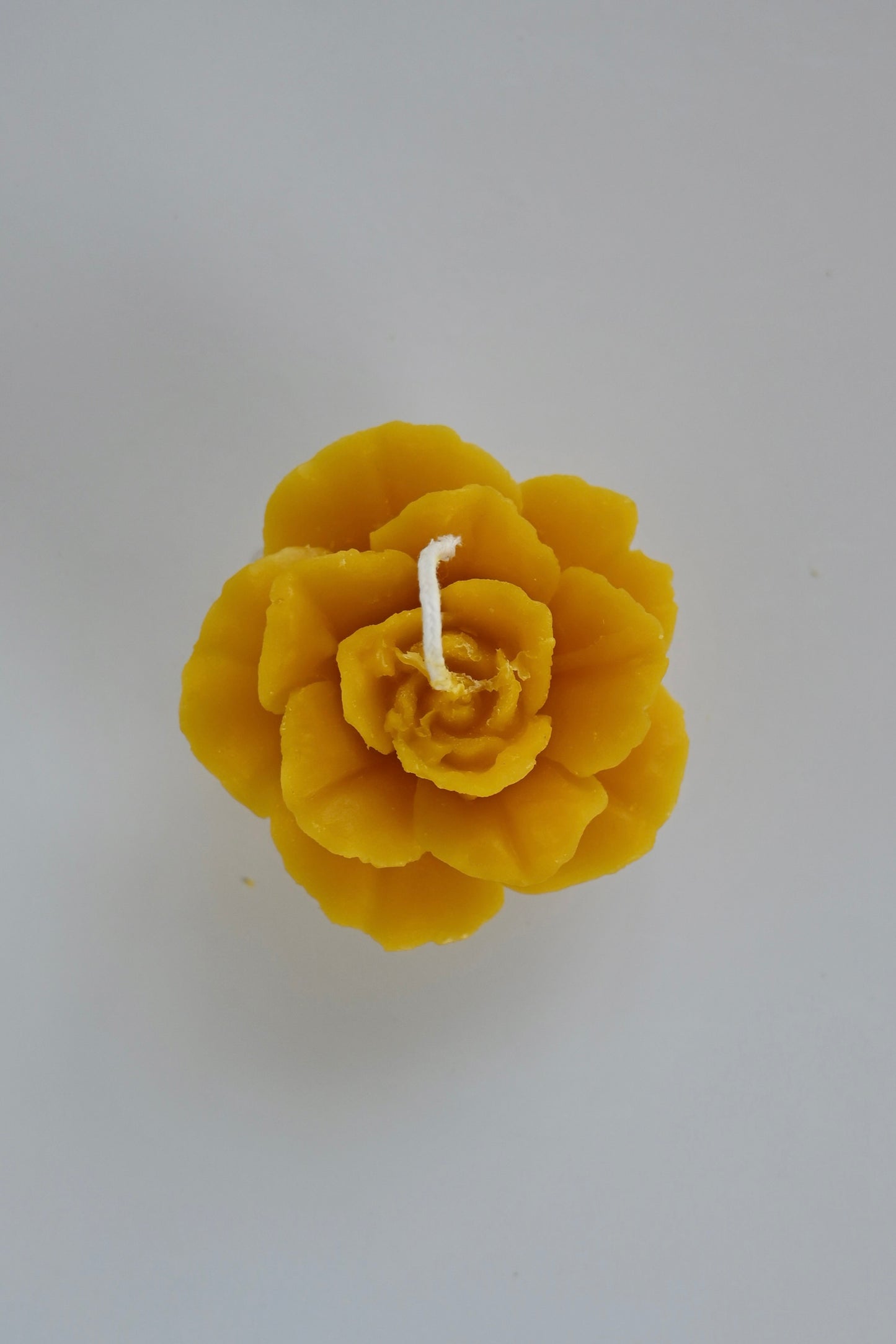 Rose Bloom Beeswax Candle