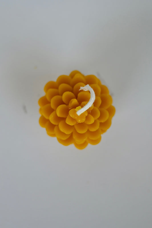 Golden Pinecone Beeswax Candle