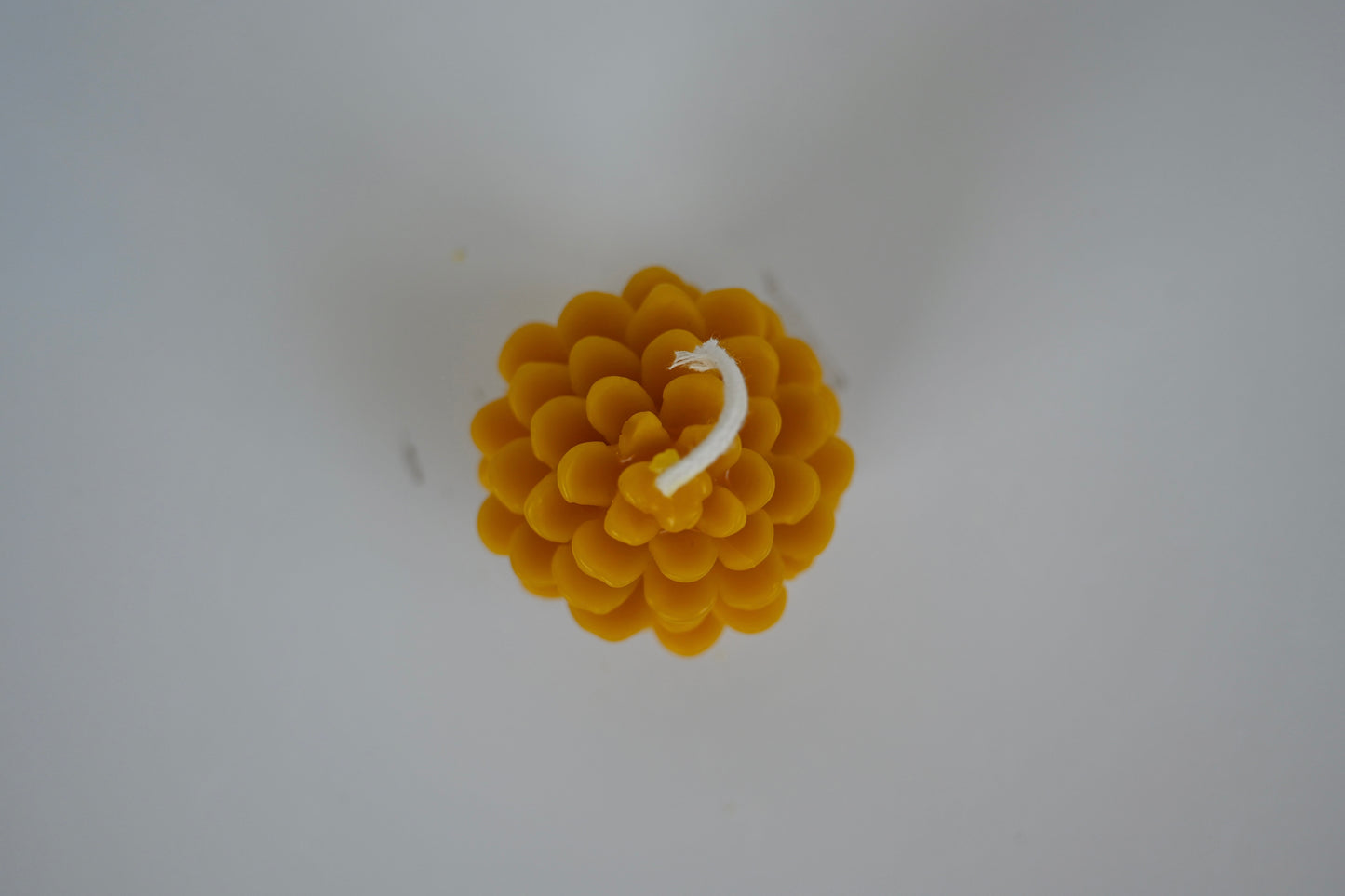 Golden Pinecone Beeswax Candle