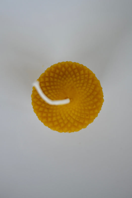 Golden Hive Beeswax Candle