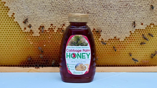 Cabbage Palm Honey